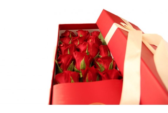 Golden red Rose