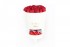 cylinder surprise box-white