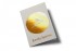 Lovely sparrow greeting card