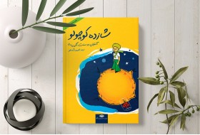 Little Prince Book
