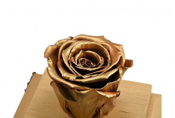 Eternal Golden Rose No.1