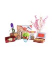 Tavazo Nowruz Special Package