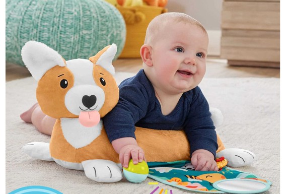 Fisher-Price 3-in-1 Puppy Baby Wedge